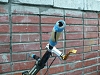     
: P1020608mmm.jpg
: 790
:	71.7 
ID:	28520