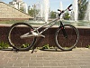     
: P1060853.jpg
: 974
:	808.6 
ID:	34857