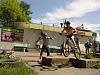     
: P1060867.jpg
: 484
:	690.5 
ID:	34871