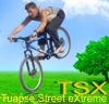   TSX
