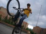   BoSS_