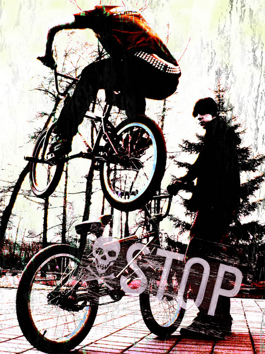 12469731 BMX